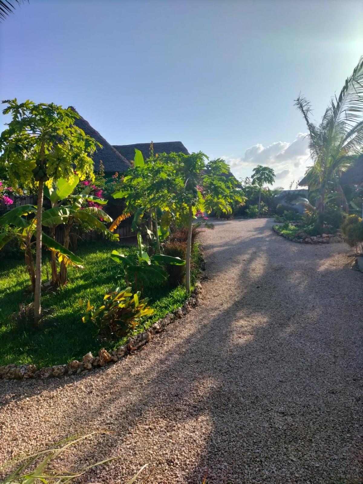Kendwa Carletto Style Bed & Breakfast Exterior photo