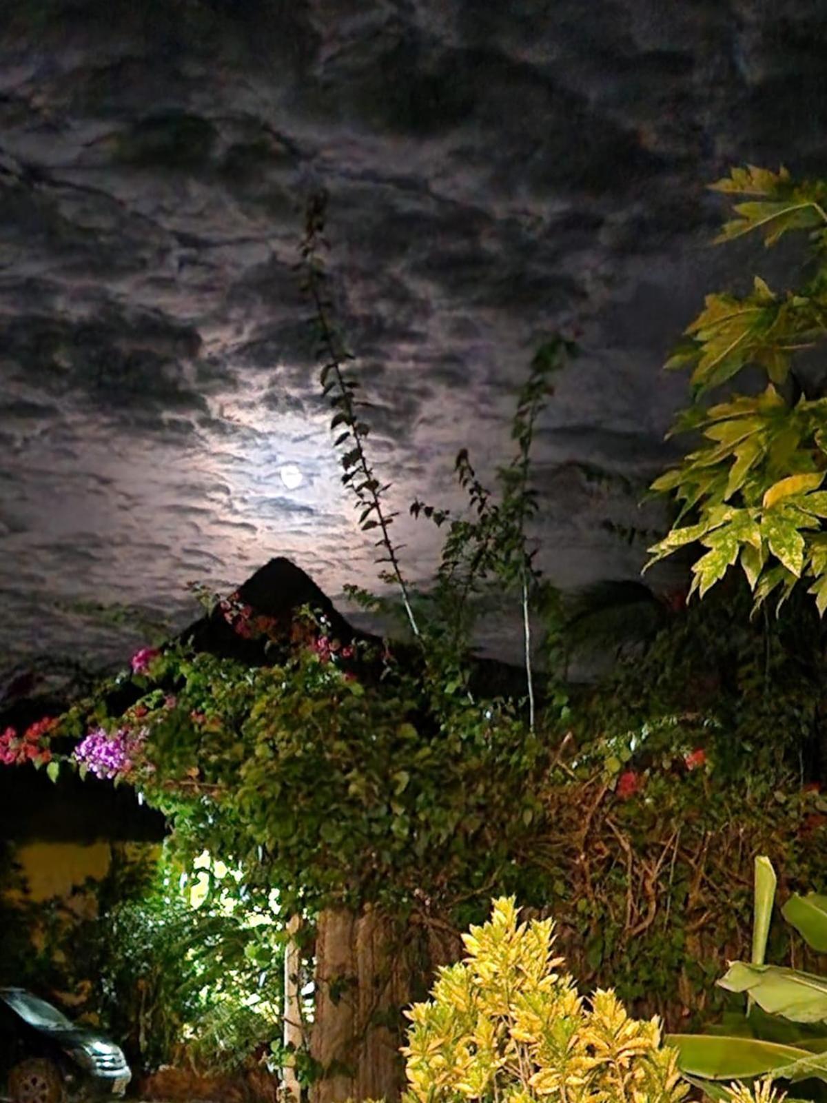 Kendwa Carletto Style Bed & Breakfast Exterior photo